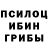Галлюциногенные грибы Cubensis ARMAC Chanel