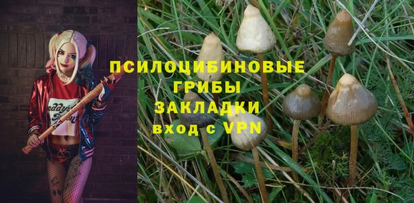молекула духа Белоозёрский