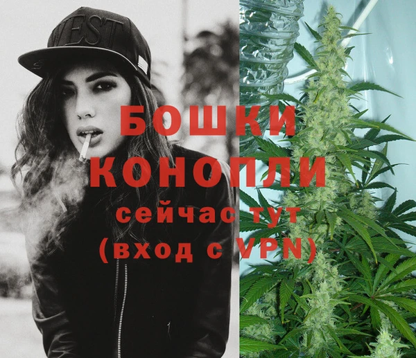 гашик Белокуриха