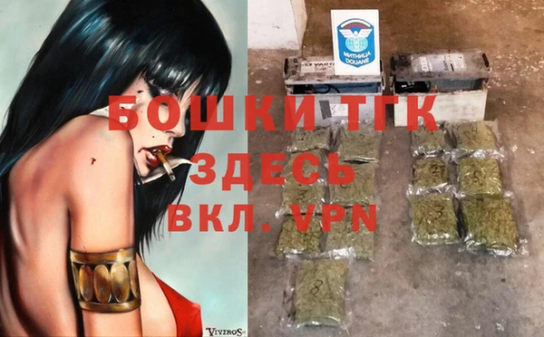 гашик Белокуриха