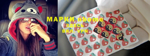 гашик Белокуриха