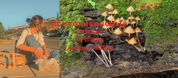 марихуана Тайга