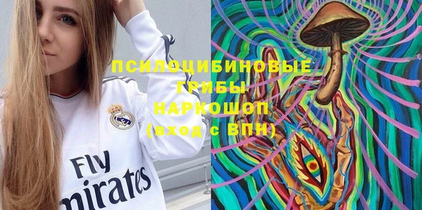 гашик Белокуриха