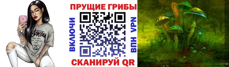blacksprut как зайти  Верещагино  Галлюциногенные грибы MAGIC MUSHROOMS  наркота 